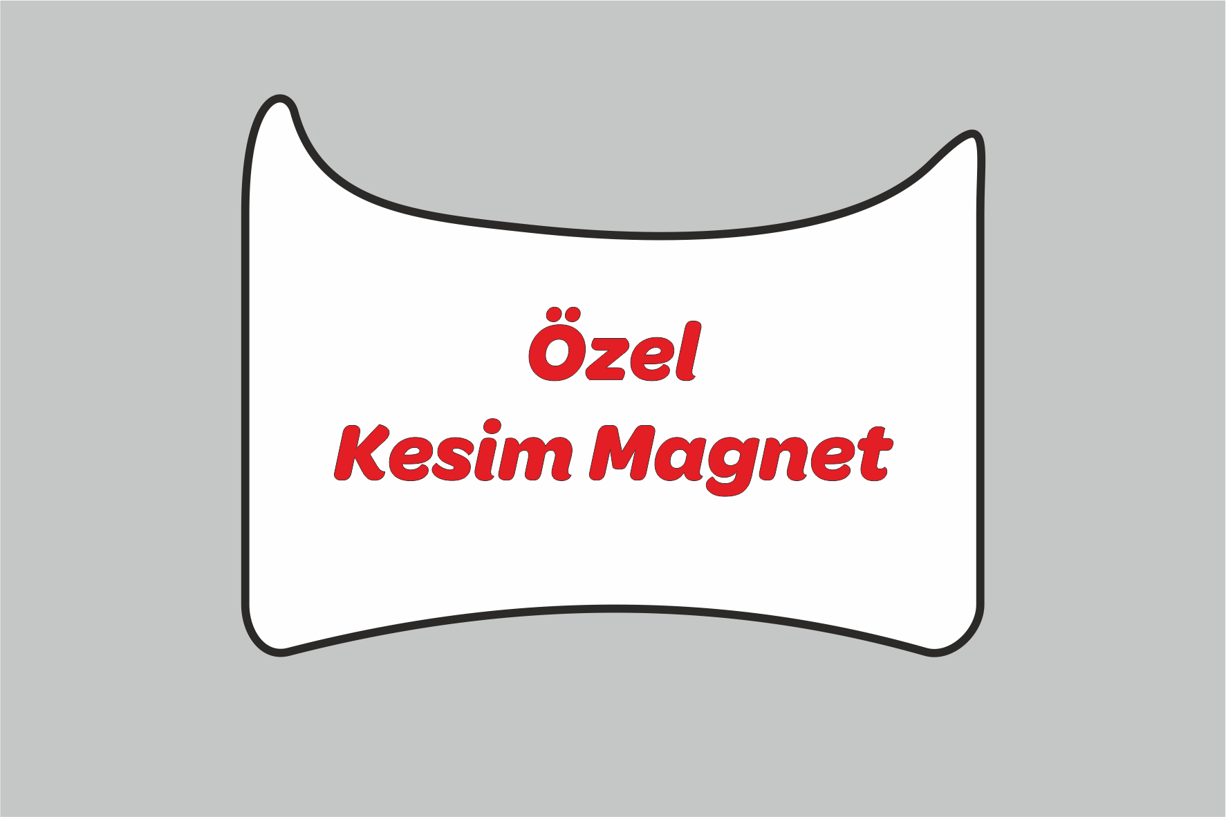 Magnet-Özel Kesim Magnet